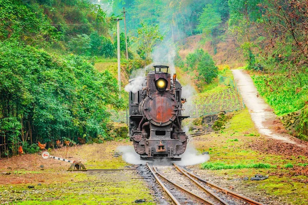 Steam narrow-gauge train. — Stock Photo, Image