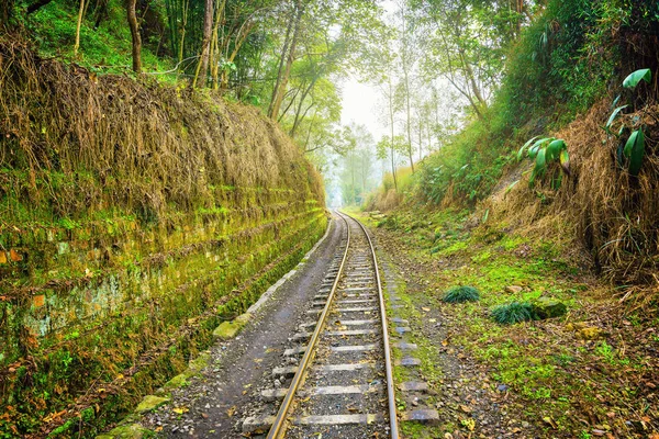 Parní-úzkorozchodná trať z Yuejin do Bagou. — Stock fotografie