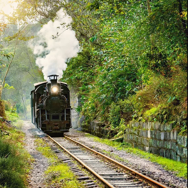 Steam narrow-gauge train — Stock Photo, Image