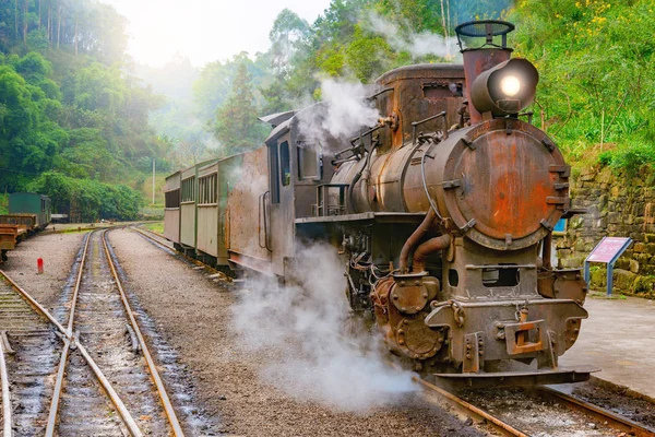 Comboio de bitola estreita a vapor . — Fotografia de Stock