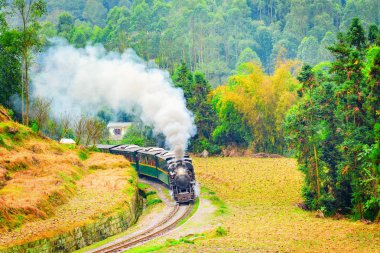 Buhar dar hat tren.