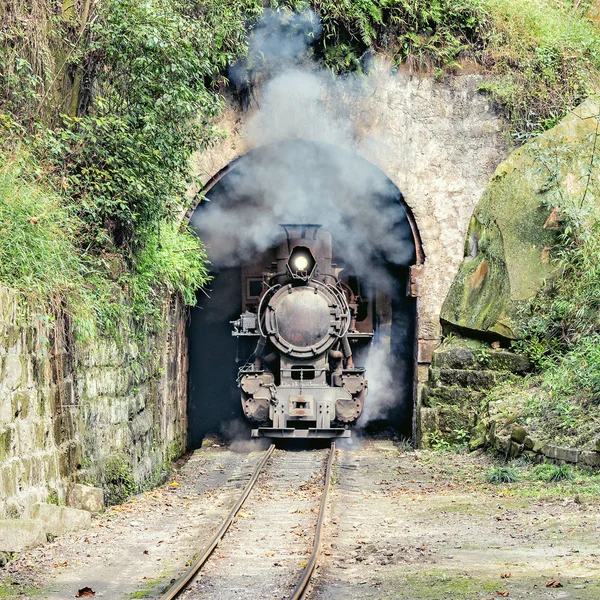 Smalspoor van de stoomtrein — Stockfoto