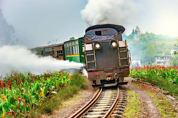 Паровой узкоколейный поезд . — стоковое фото