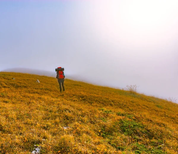 Turistik dağ çayır üzerinde. — Stok fotoğraf