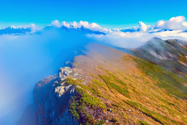 Wolken dekken bergbossen. — Stockfoto