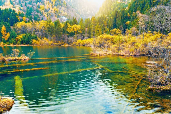 Vue d'automne sur le lac. Réserve naturelle de Jiuzhaigou. Chine . — Photo