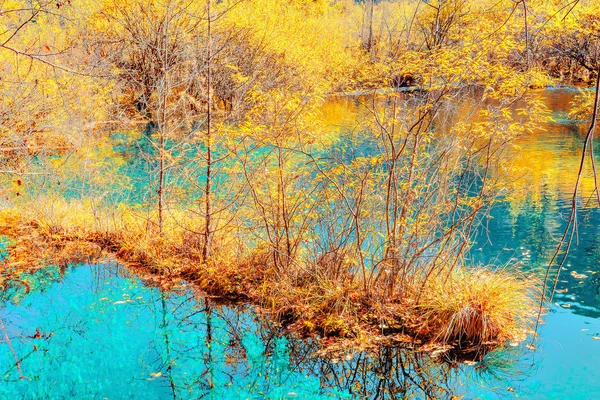 Alberi in riva al lago colorato durante il giorno d'autunno . — Foto Stock