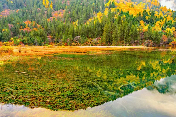 Autunno vista lago con acqua pura . — Foto Stock