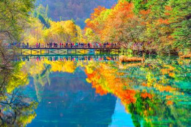 Trees by colorful lake at autumn day time. clipart