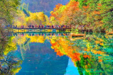 Trees by colorful lake at autumn day time. clipart