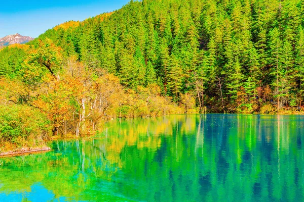 Vista del lago Panda al atardecer de otoño . — Foto de Stock