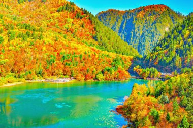 Aerial view of Five Flower Lake at autumn sunrise time. clipart