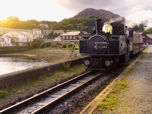 Tren de vapor de ancho estrecho . — Foto de Stock