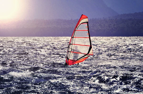 A tó felszínén Sportman windsurfer. — Stock Fotó
