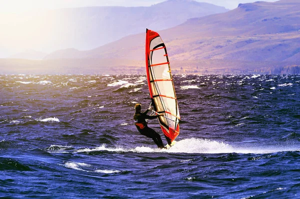 Göl yüzeyinde Sportman adet Rüzgar Sörfü. — Stok fotoğraf