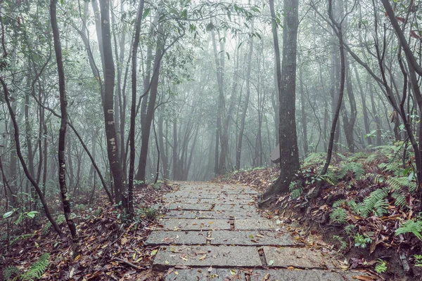 Parque florestal zhangjiajie . — Fotografia de Stock