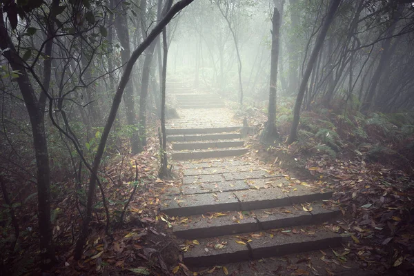 Caminho de pedra molhada . — Fotografia de Stock