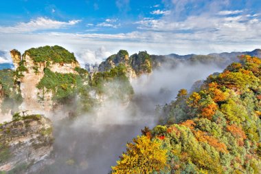 Renkli uçuruma Zhangjiajie Forest Park içinde ağaçlar.