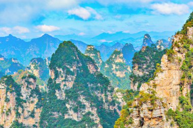 zhangjiajie Ulusal Orman Parkı.