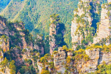Renkli kayalıklarla Zhangjiajie Forest Park içinde.