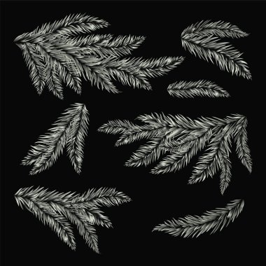 Frost çam ağacı dalları.