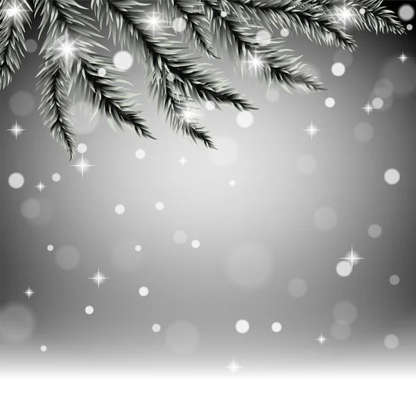 Pine tree branches on christmas snowflakes and snowdrift background. — Stock Vector
