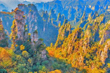 Renkli kayalıklarla Zhangjiajie Forest Park içinde.