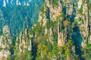 Renkli kayalıklarla Zhangjiajie Forest Park içinde.