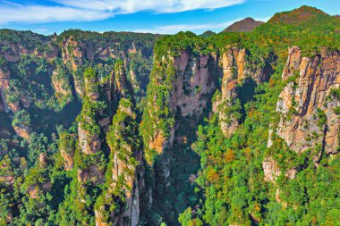 Renkli kayalıklarla Zhangjiajie Forest Park içinde.