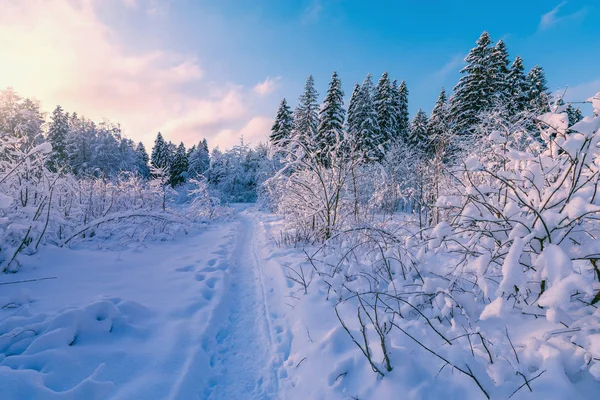 Sunset view of the path. — Stock Photo, Image