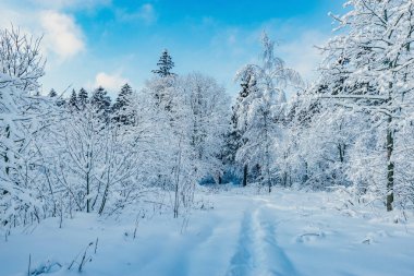 Yolun gün batımı görünümü.