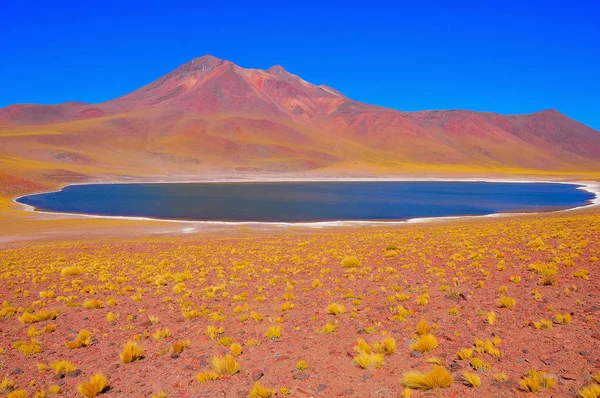 Veduta della laguna di Miniques . — Foto Stock