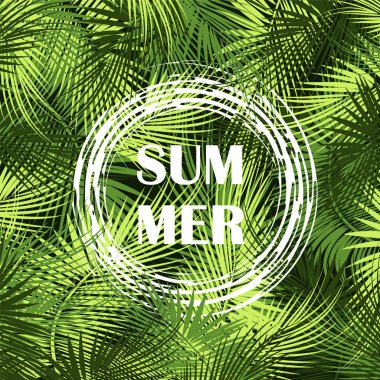 Palmiye ağaç dalları koyu arka plan üzerinde.