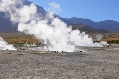 Geysers del Tatio.