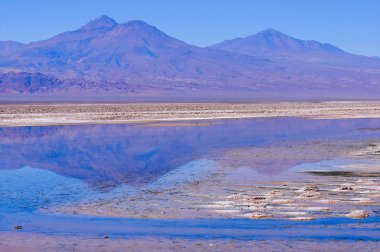 Sıcak gün zaman tuzlu göl manzarası.