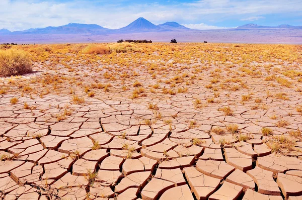 Táj, az Atacama-sivatag. — Stock Fotó
