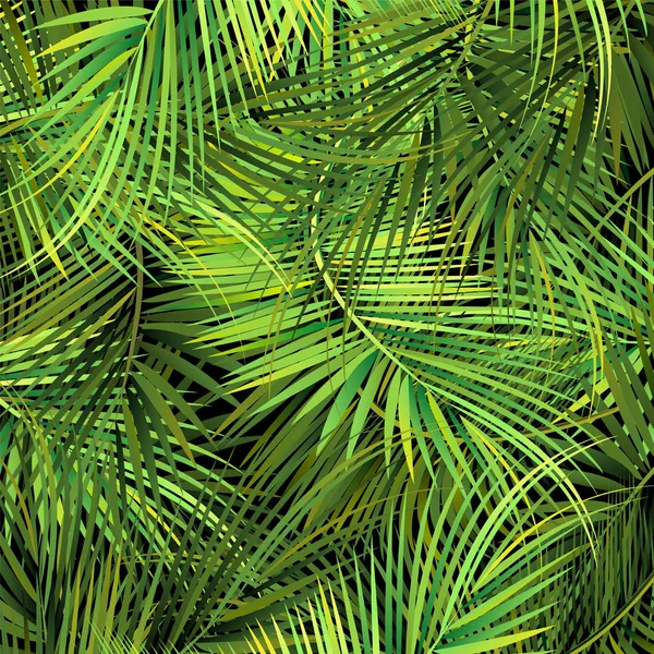 Gałęzie drzewa zielonych palm na streszczenie tło. — Wektor stockowy
