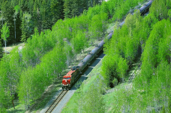 Le train de marchandises traverse les Rocheuses canadiennes . — Photo