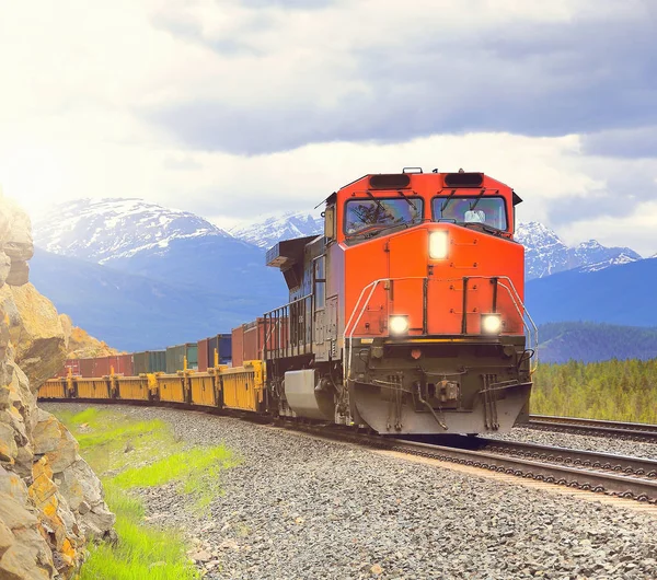 Lange goederentrein. — Stockfoto