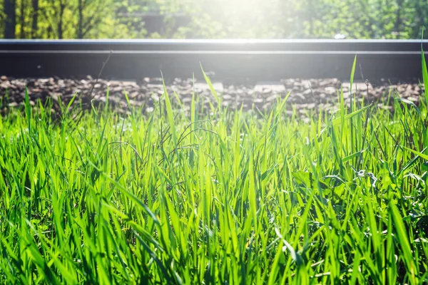 Groene lente gras langs het spoor. — Stockfoto