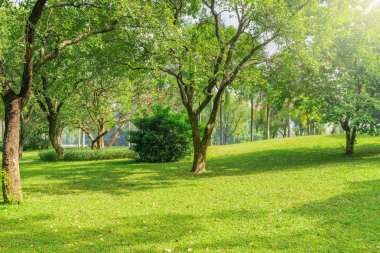 Gün zaman görünümünü Şehir Parkı.