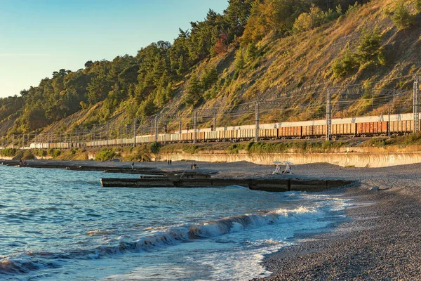 Freight train approaches to the station at evening time. Sochi. Russia. — ストック写真