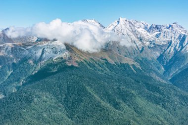 Yazın, Kafkasya dağlarında. Soçi..