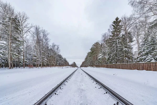 Railway track in the winter forest at cloudy day. — 스톡 사진