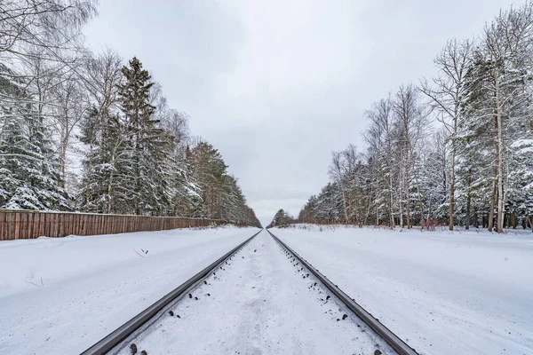 Railway track in the winter forest. — 스톡 사진