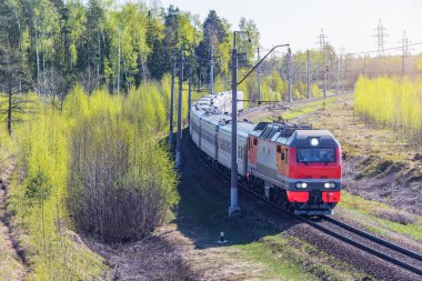 Yolcu treni bahar zamanı orman arka planında hareket eder..
