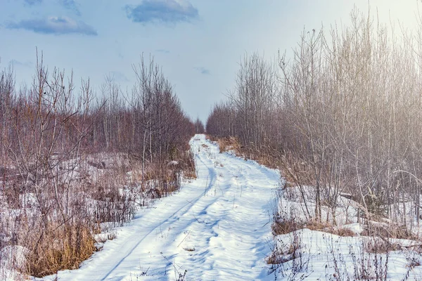 Güneşli Kış Günlerinde Uzun Yol Manzarası — Stok fotoğraf