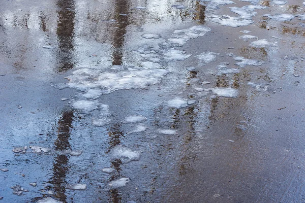 春のアスファルト道路上の水たまりの木の反射 — ストック写真
