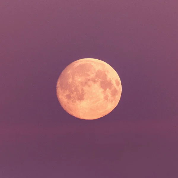 Luna llena sobre fondo rosa del cielo . —  Fotos de Stock