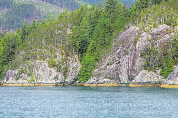 Drzewa Skałach Wyspa Vancouver Kolumbia Brytyjska Stany Zjednoczone — Zdjęcie stockowe